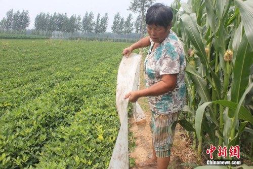 发改委发文推进农业水价综合改革促进农业节水
